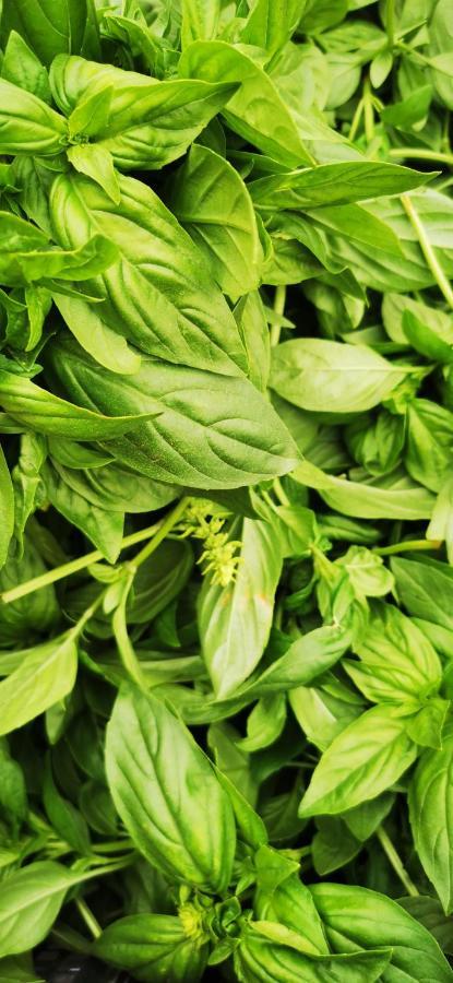 Azienda Agrituristica Baglio Carta باليستراتي المظهر الخارجي الصورة