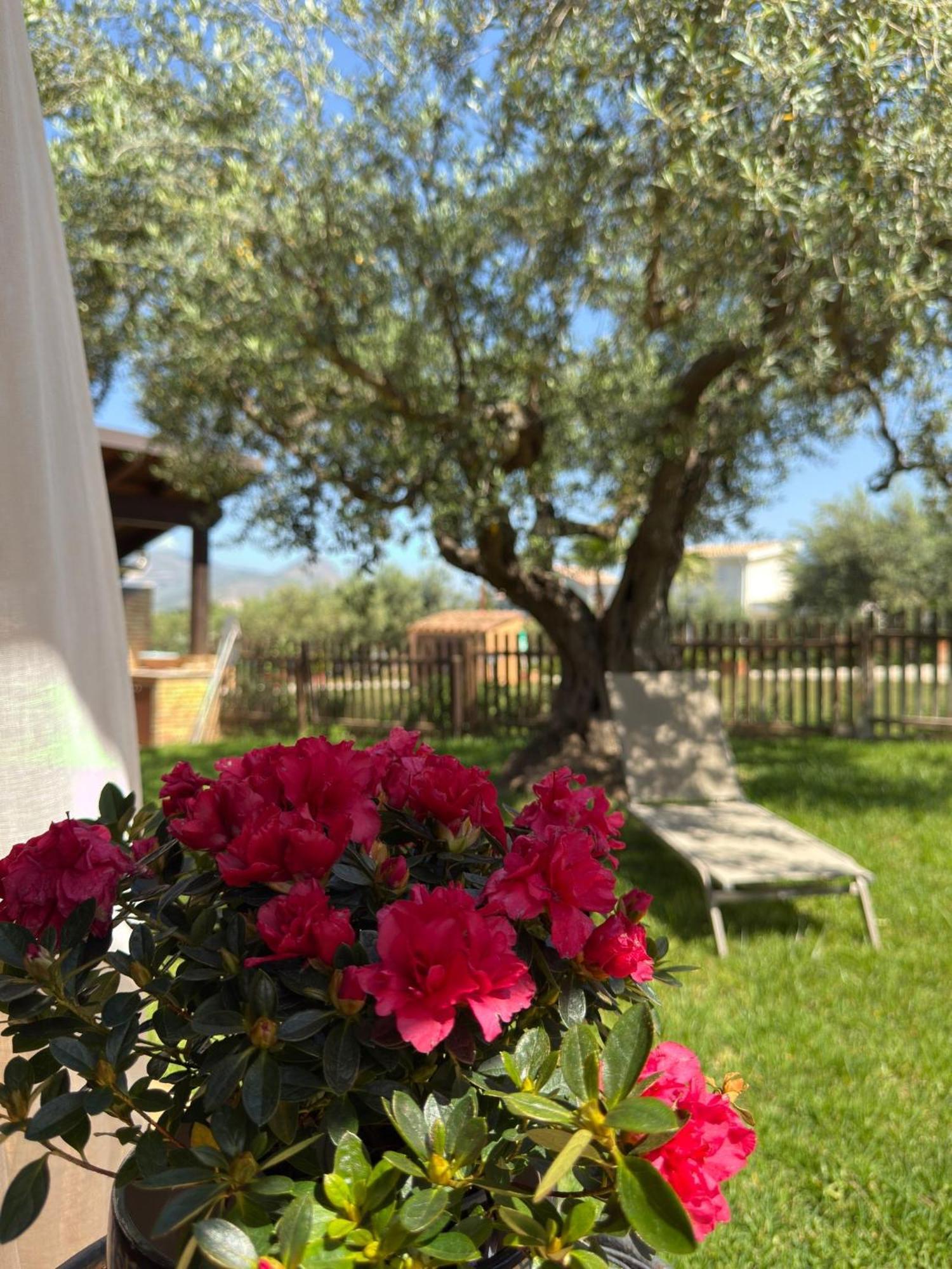 Azienda Agrituristica Baglio Carta باليستراتي المظهر الخارجي الصورة